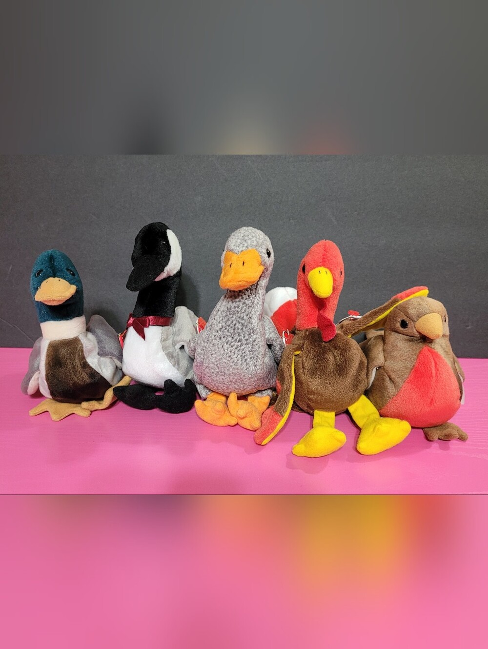 Ty Beanie Babies Birds Set Of 5 (1714)